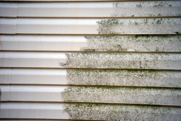 How To Choose The Right Materials for Your Siding Installation in 'Vienna Bend, LA